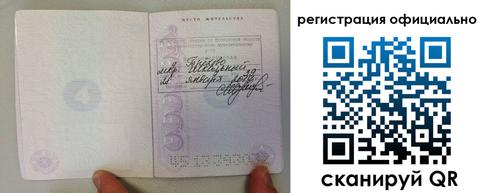 прописка штамп в Алексеевке
